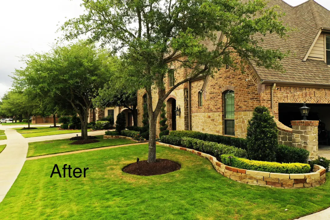 Front-yard transformation — after