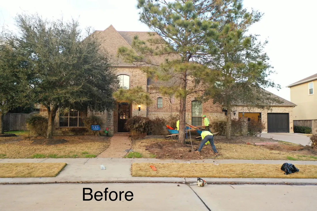 Front-yard transformation — before