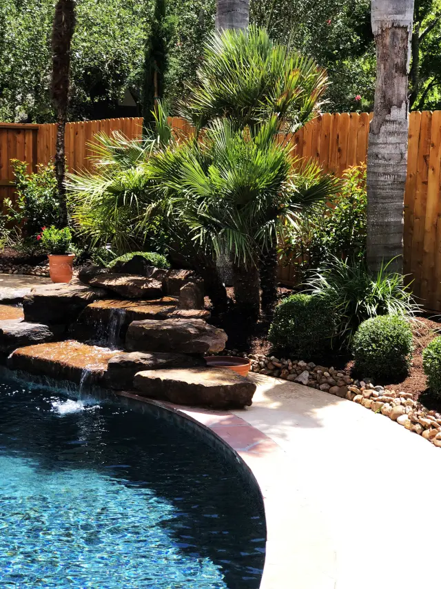 Waterfall grotto planting