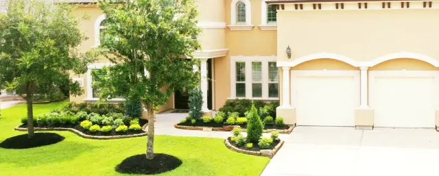 Entry landscaping with sculpted shrubs