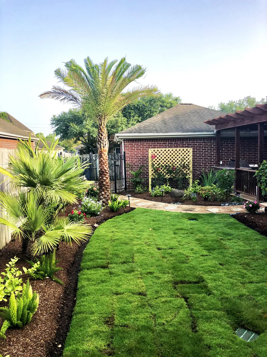 Yard with fresh sod restored after a new Trophy multi-zone sprinkler installation