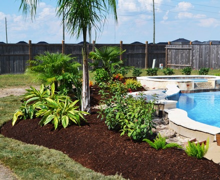 Katy Landscaping13