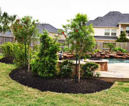 Katy Landscaping17