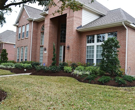 Katy Landscaping19