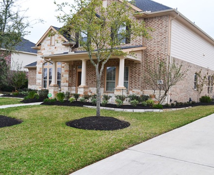 Katy Landscaping31